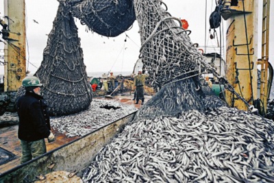Russia Plans to Seize Fishing Quotas from Producers Who Build Trawlers With Foreign Capital